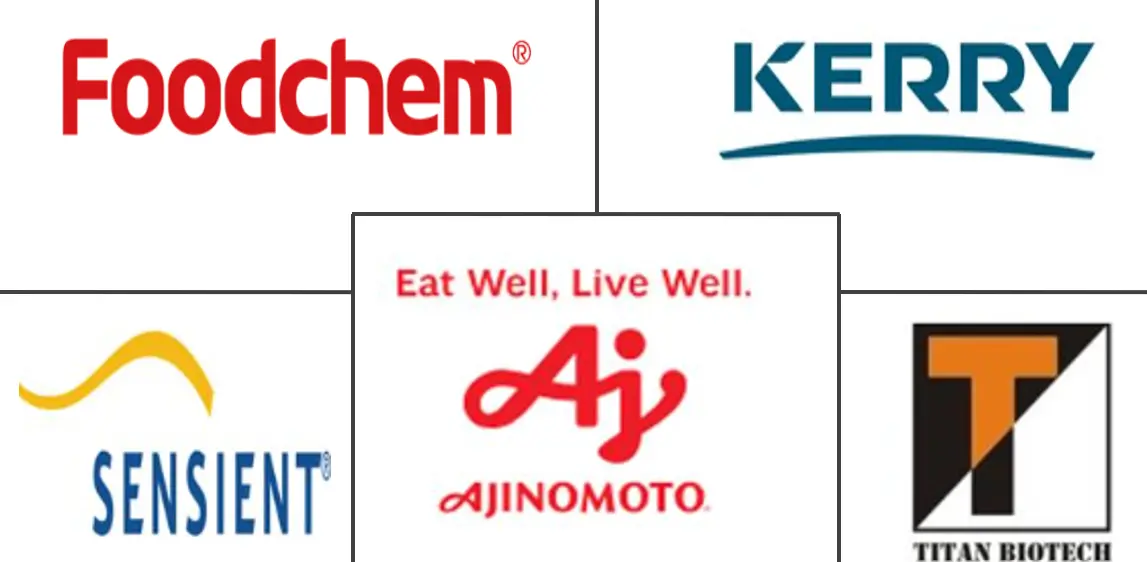 水解植物蛋白市场规模和份额