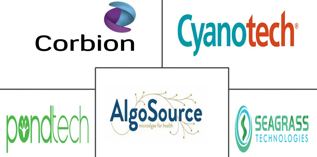 藻类蛋白市场规模和份额