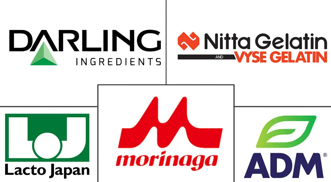 日本蛋白质市场规模