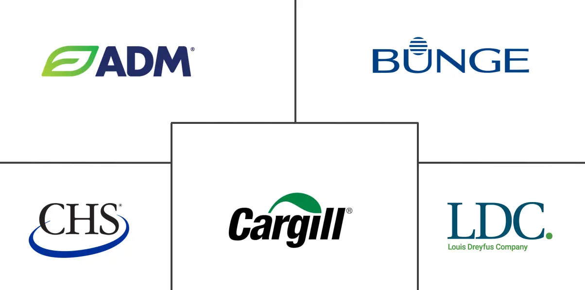 大豆衍生品市场规模和份额