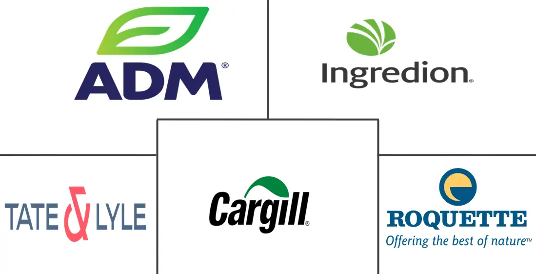 淀粉及淀粉衍生物市场规模及份额