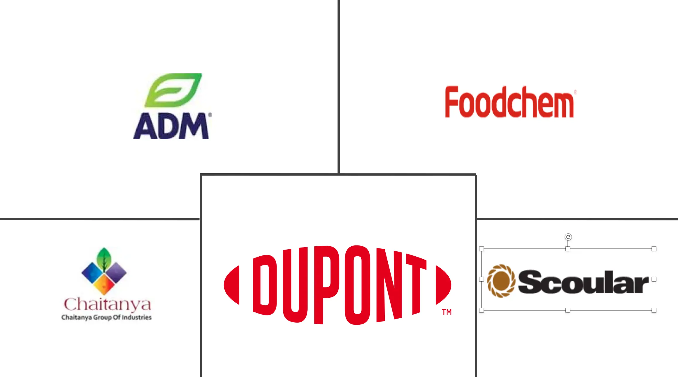 分离有机大豆蛋白市场规模