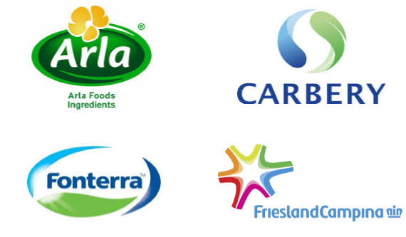 南美洲乳清蛋白市场规模