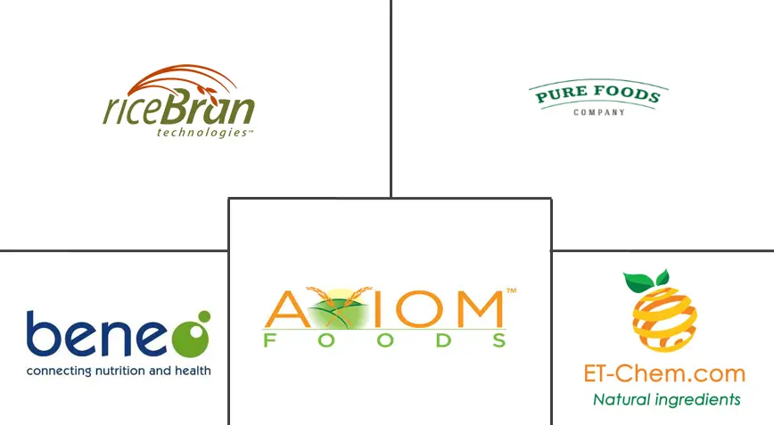 南美洲大米蛋白市场规模