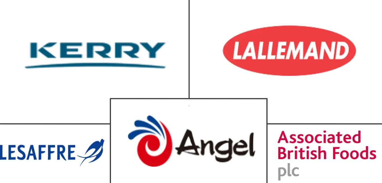 酵母和酵母提取物市场规模和份额