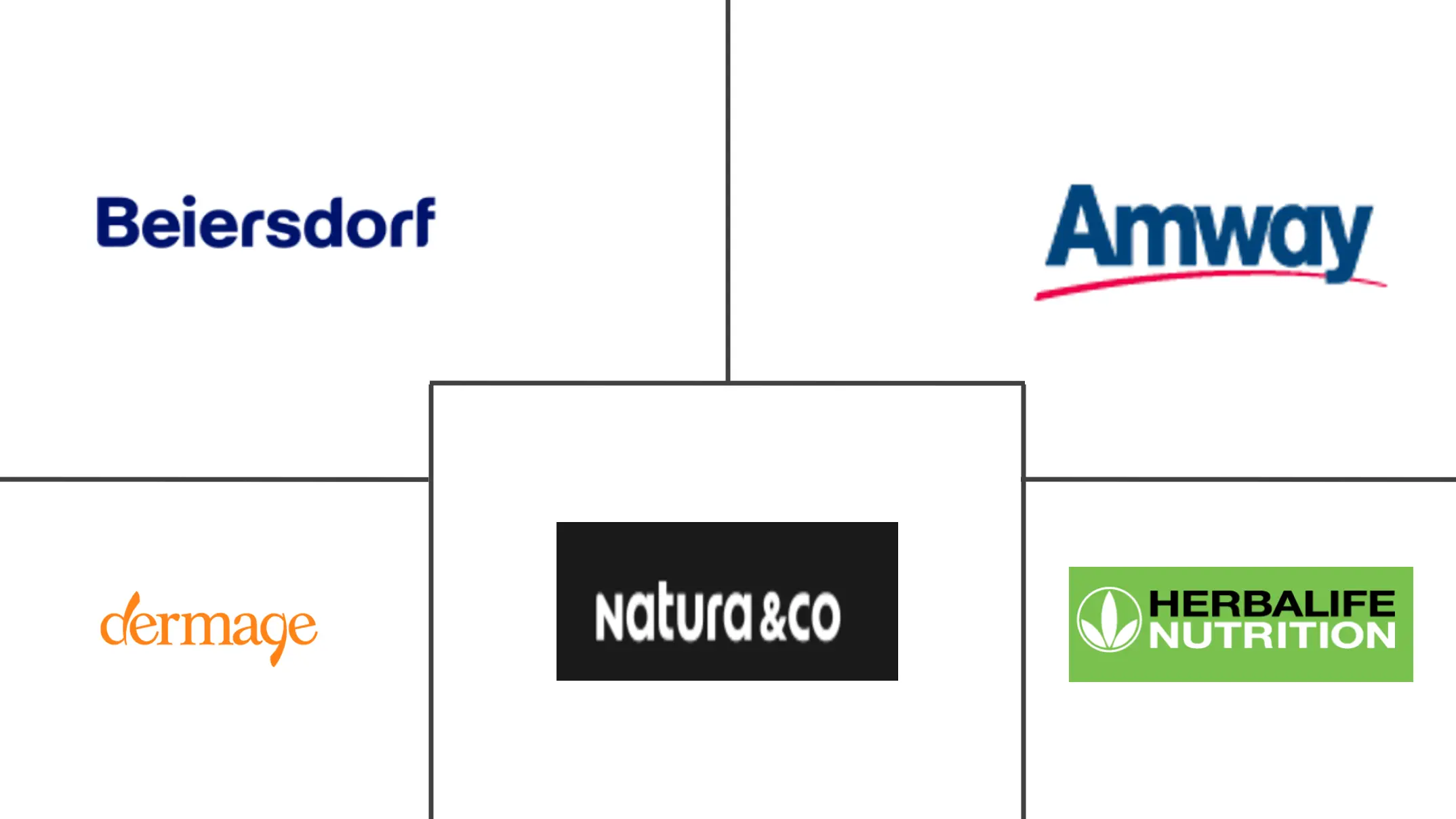 南美营养化妆品市场规模
