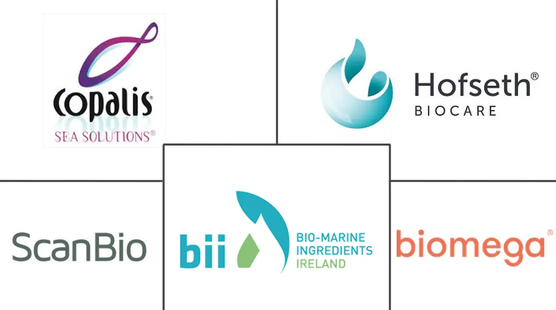 鱼蛋白水解物市场规模和份额