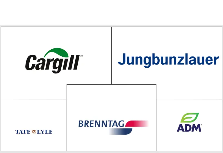 非洲食品酸化剂市场规模