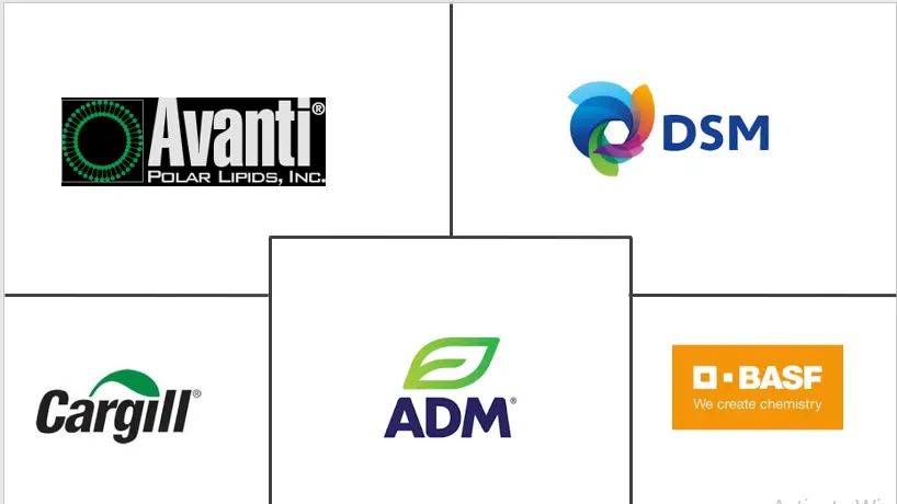 亚太地区脂质市场规模