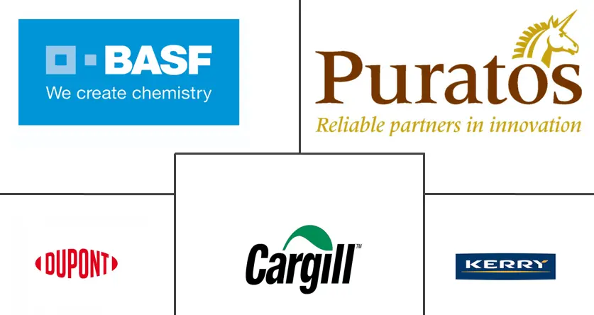 埃及食品乳化剂市场规模