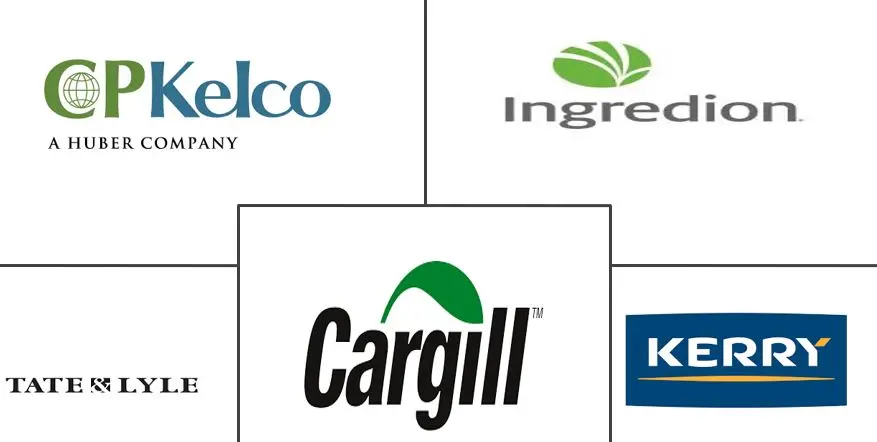 亚太地区脂肪替代品市场规模