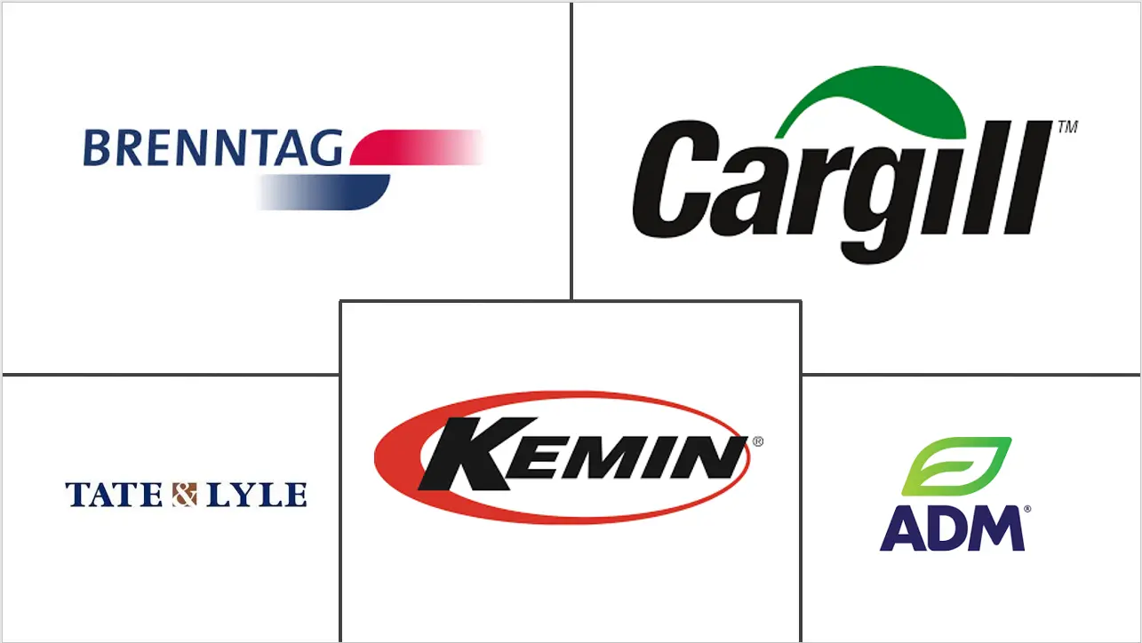 巴西食品酸化剂市场规模