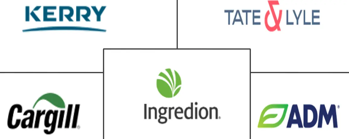 南美脂肪替代品市场规模和份额