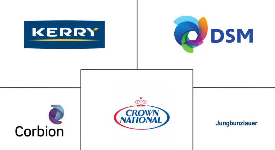 南非食品防腐剂市场规模