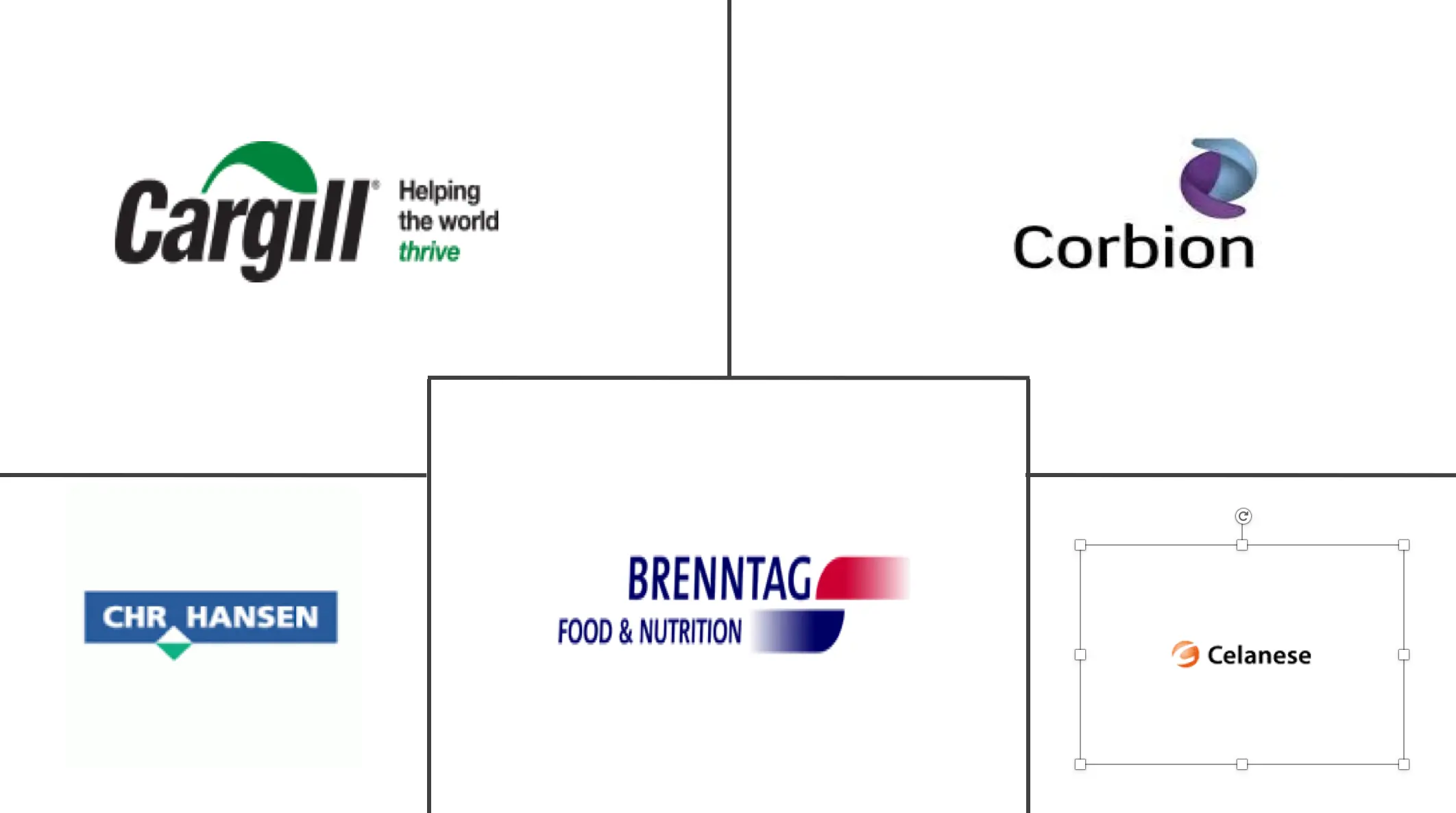 巴西食品防腐剂市场规模