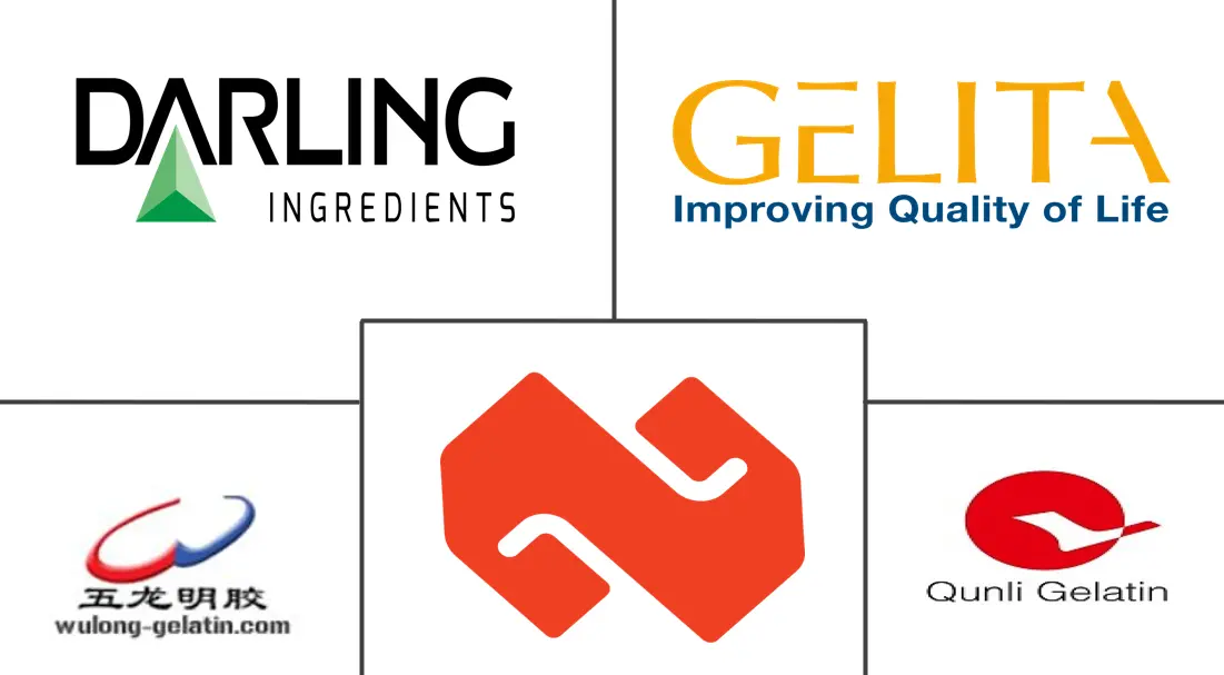 中国明胶市场规模