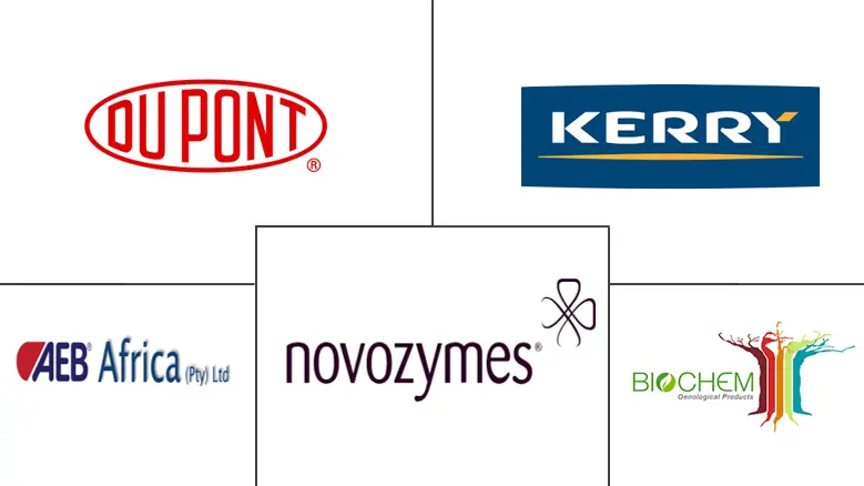 非洲酿造酶市场规模