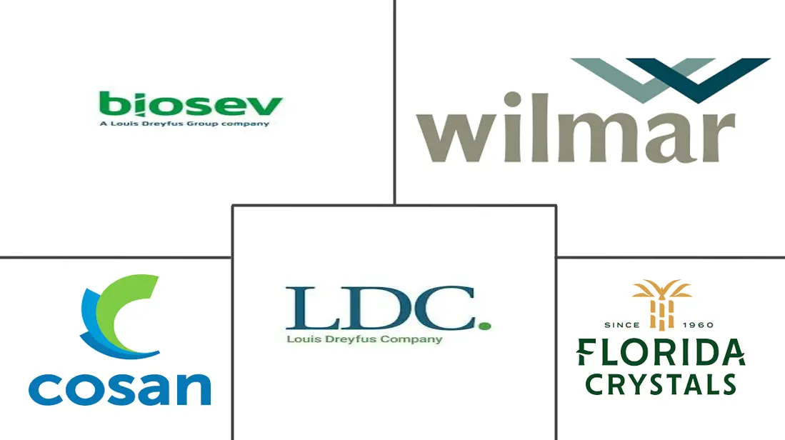 蔗糖市场规模和份额