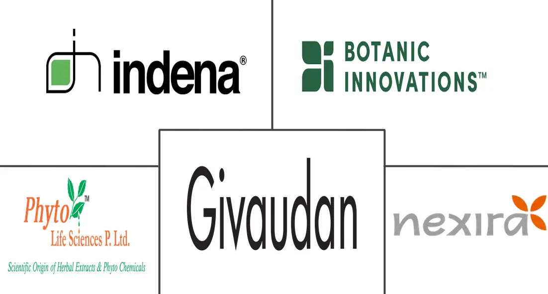 全球葡萄籽提取物市场规模及份额