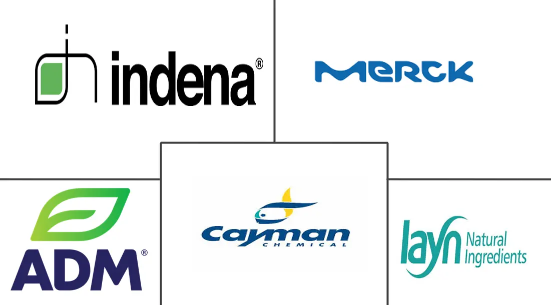 类黄酮市场规模和份额