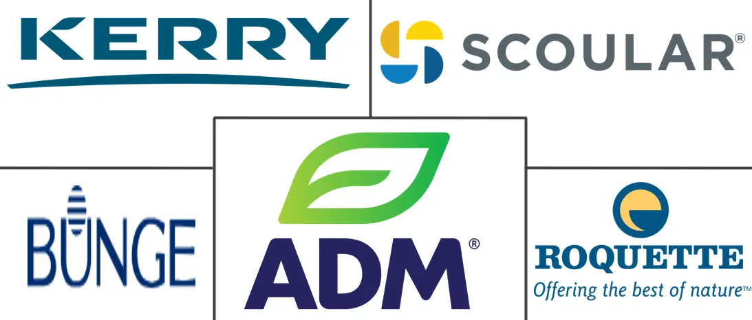 法国大豆蛋白市场规模