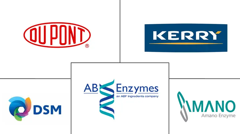 北美食品酶市场规模