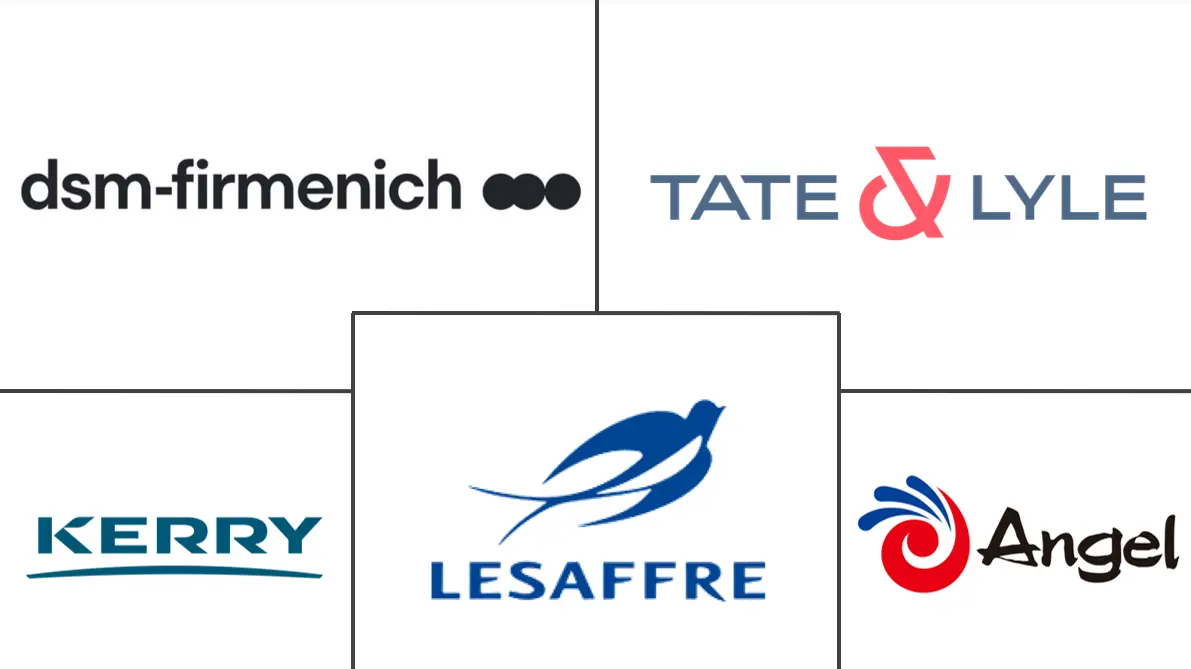 β-葡聚糖市场规模和份额