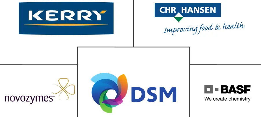 意大利食品酶市场规模