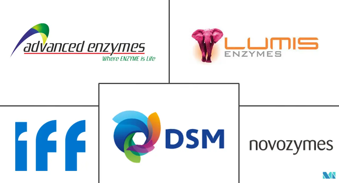 印度食品酶市场规模