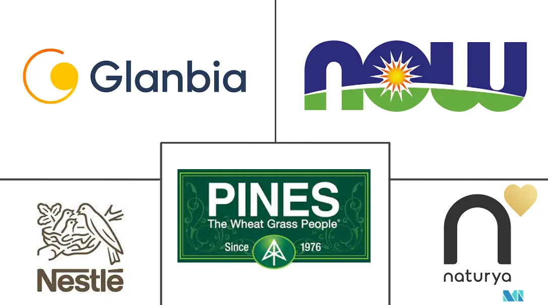 小麦草产品市场规模