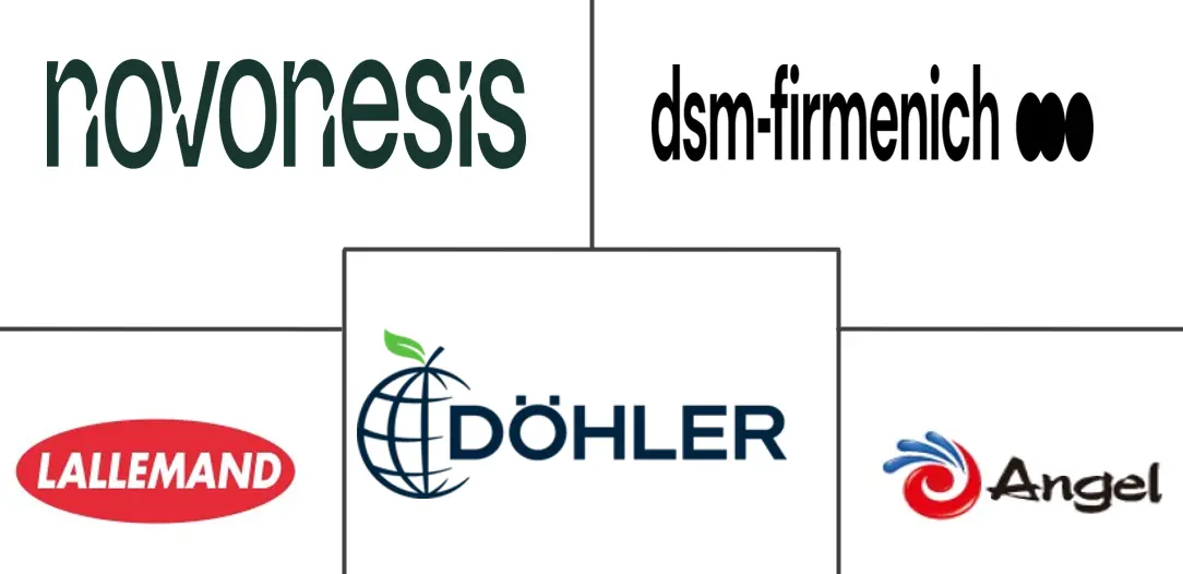 发酵剂市场规模和份额