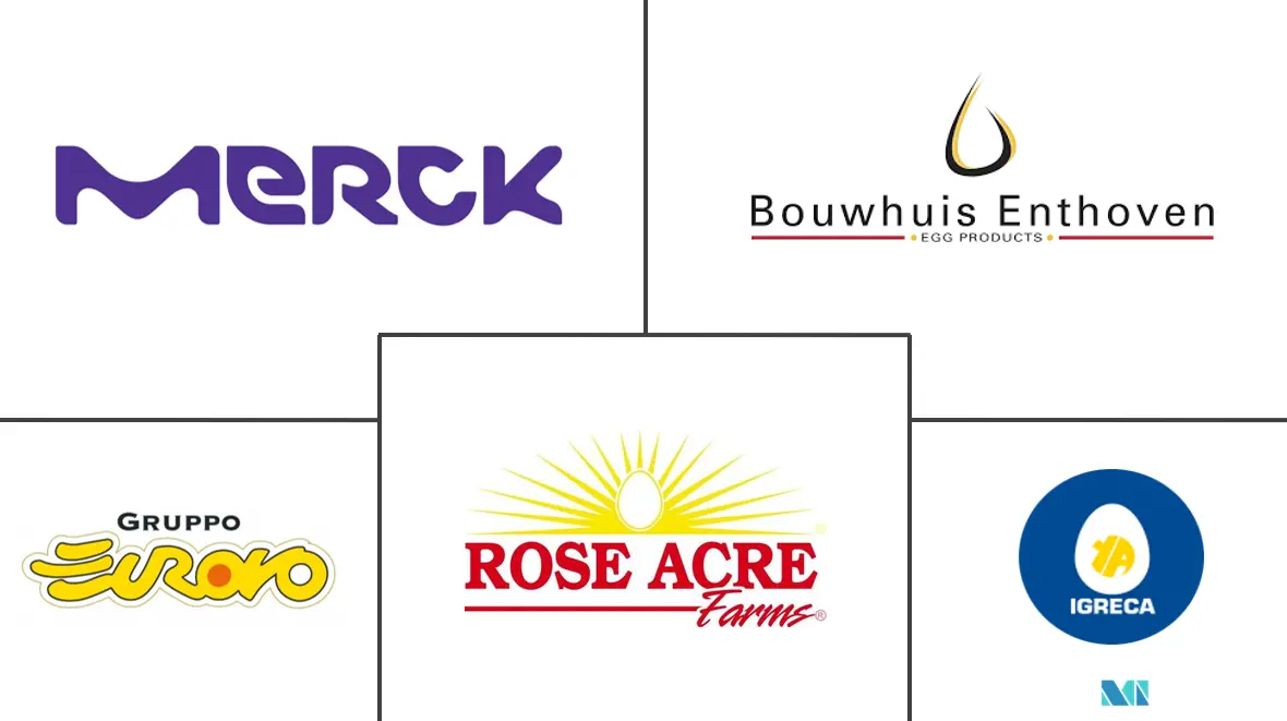 鸡蛋蛋白市场规模