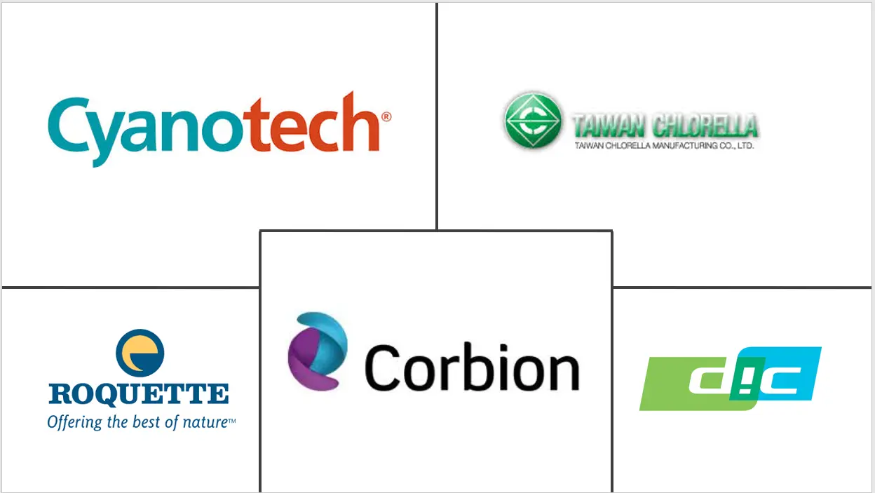 非洲藻类蛋白市场规模