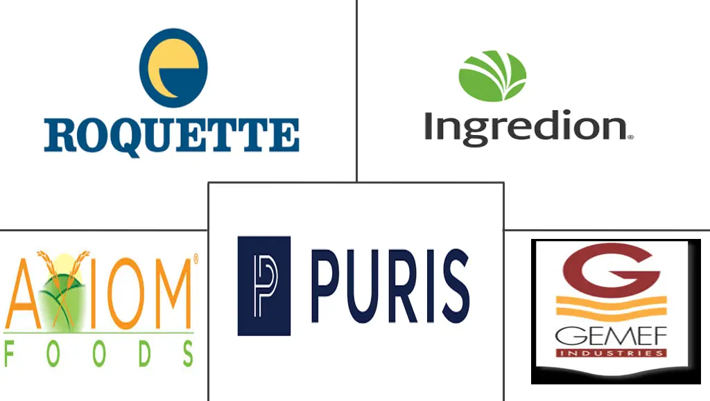 纹理豌豆蛋白市场规模和份额