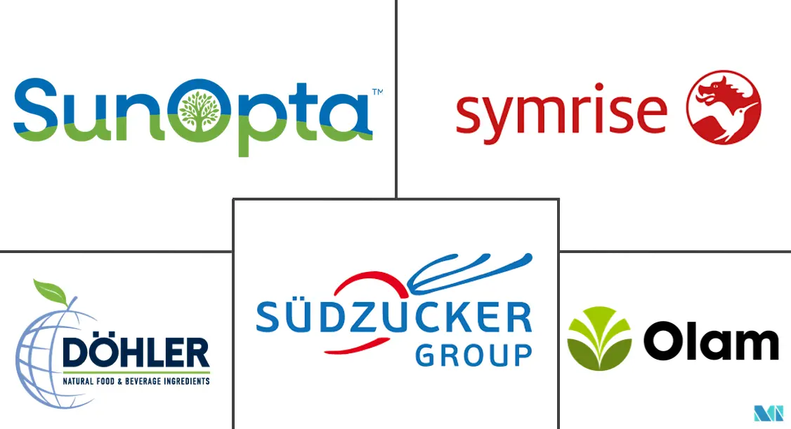 水果和蔬菜块和粉末市场规模