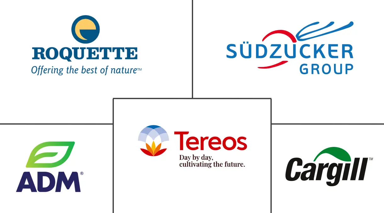 欧洲小麦蛋白市场规模和份额