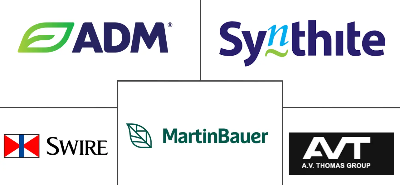 红茶提取物市场规模和份额