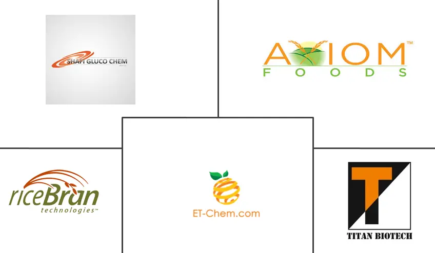 亚太地区大米蛋白市场规模