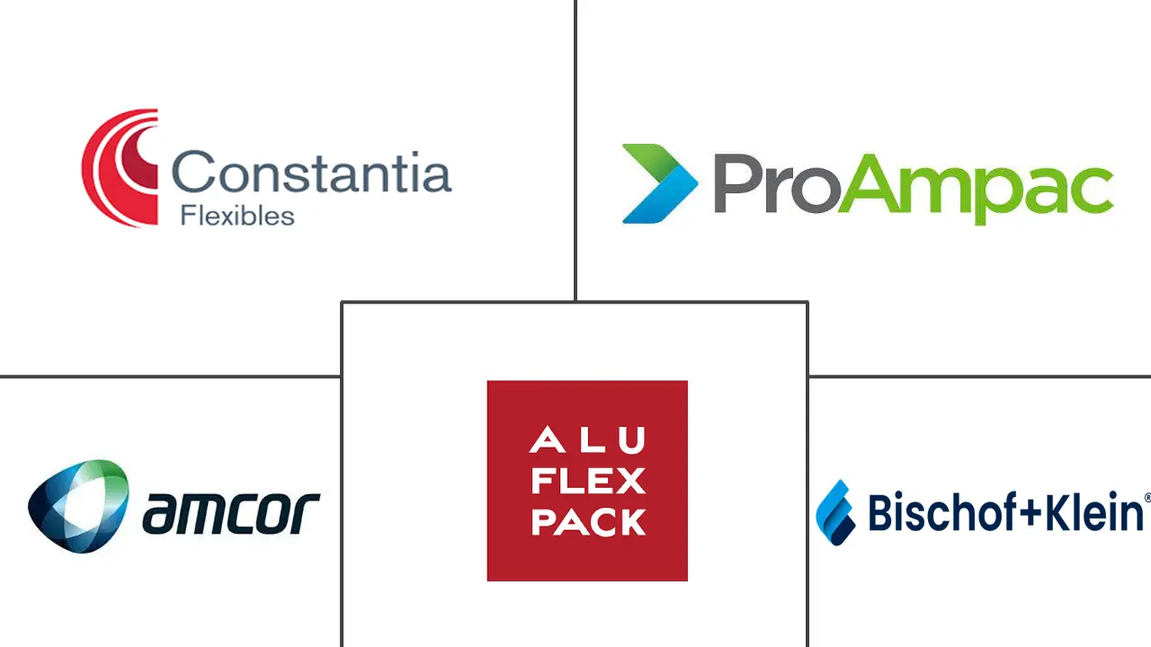 袋包装市场规模及份额