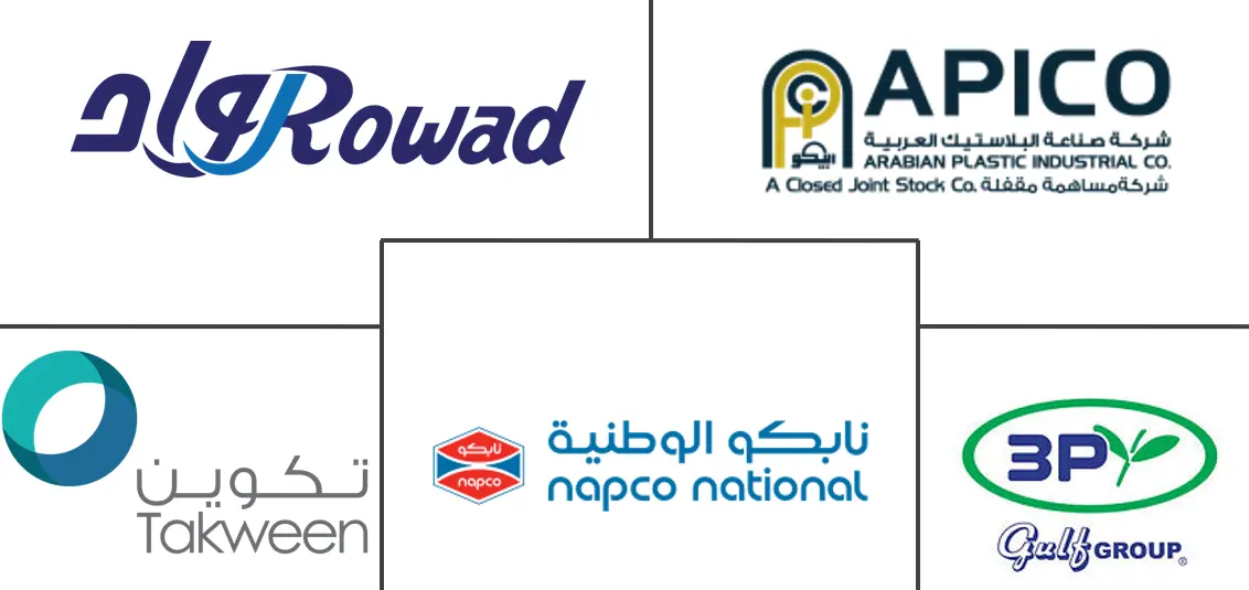 沙特阿拉伯塑料包装薄膜市场规模