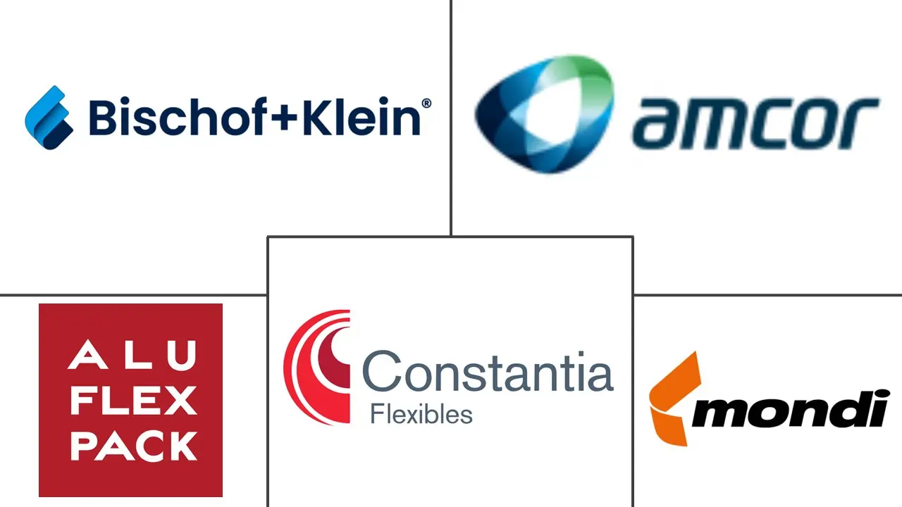 欧洲袋包装市场规模