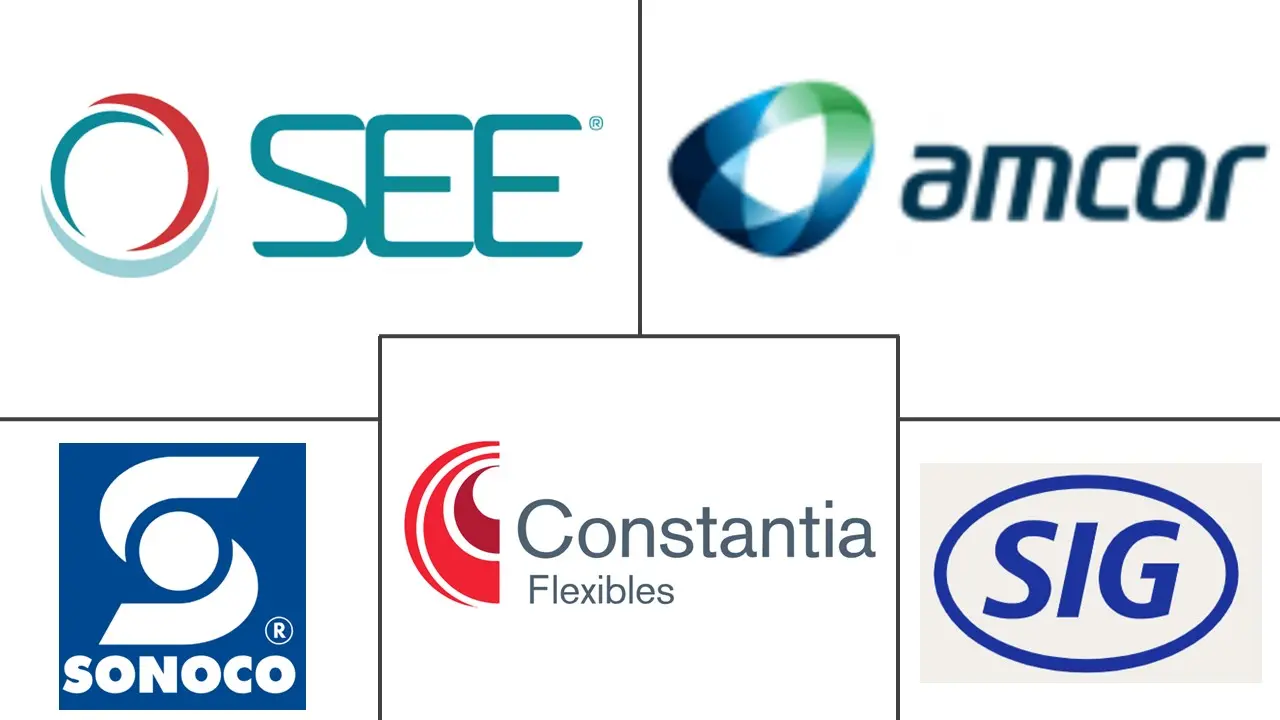 亚太地区袋包装市场规模