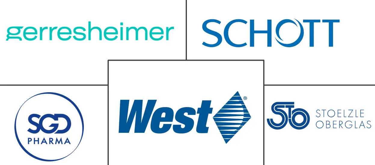 医疗保健包装市场规模和份额