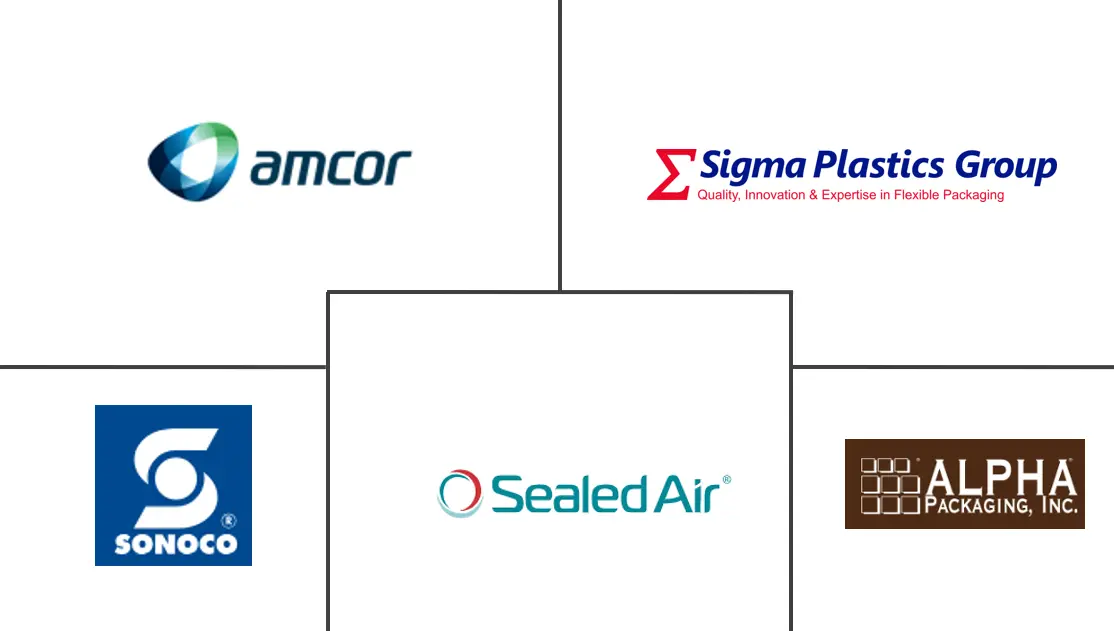 美国塑料包装市场规模及份额