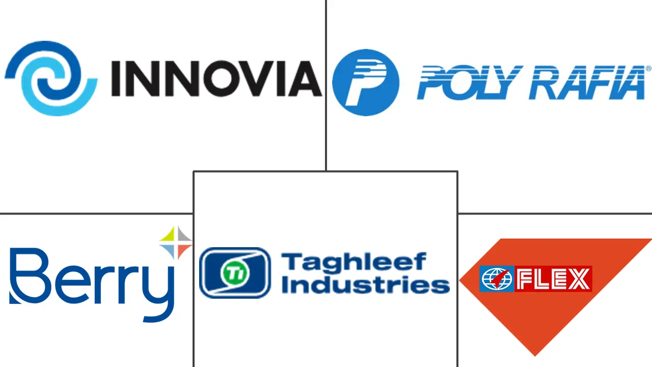 拉丁美洲塑料包装薄膜市场规模