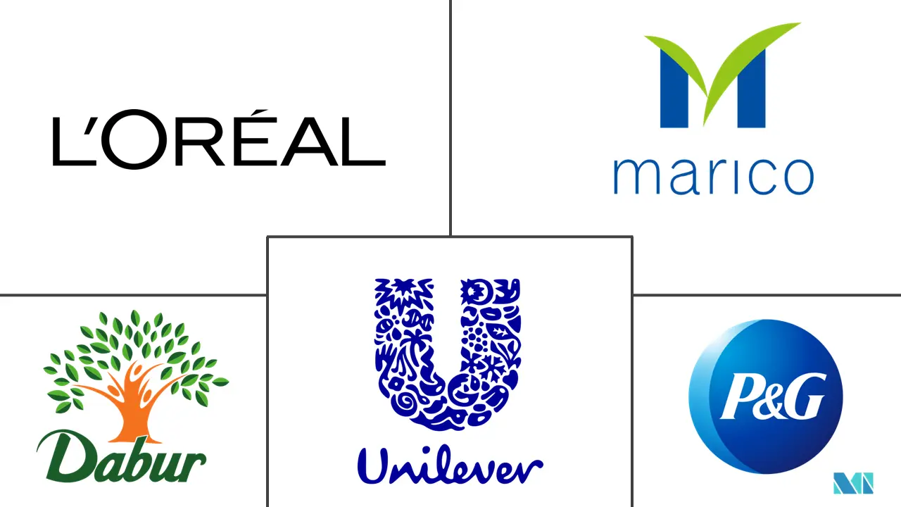 印度护发产品市场规模及份额