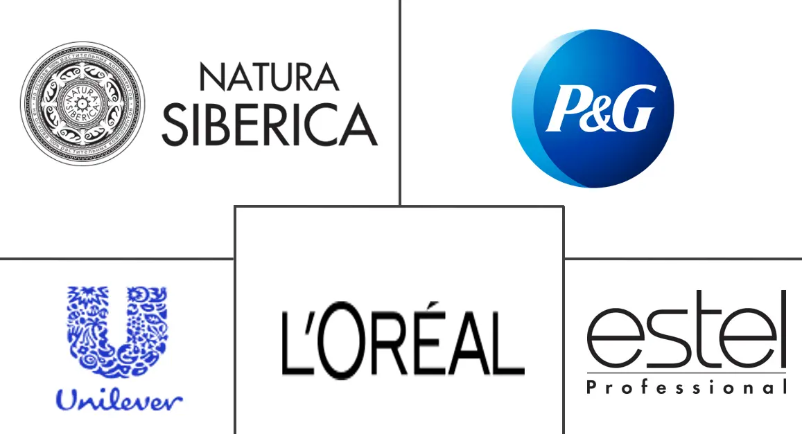 俄罗斯护发市场规模和份额