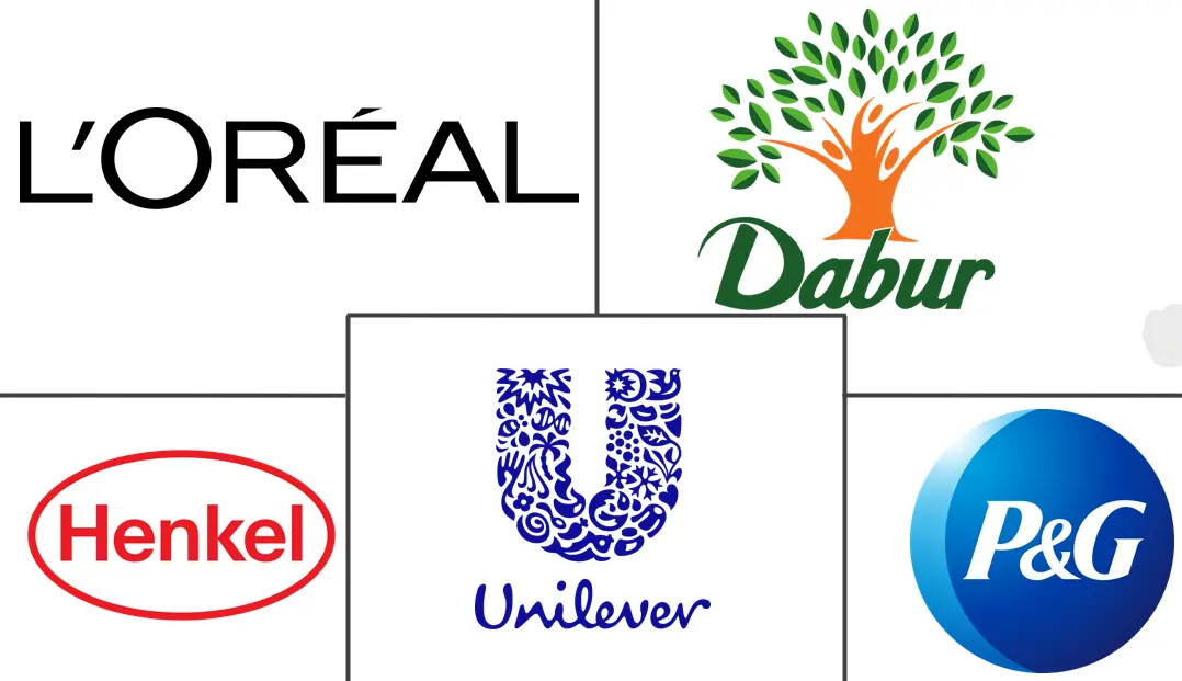 中东和非洲护发市场规模和份额分析