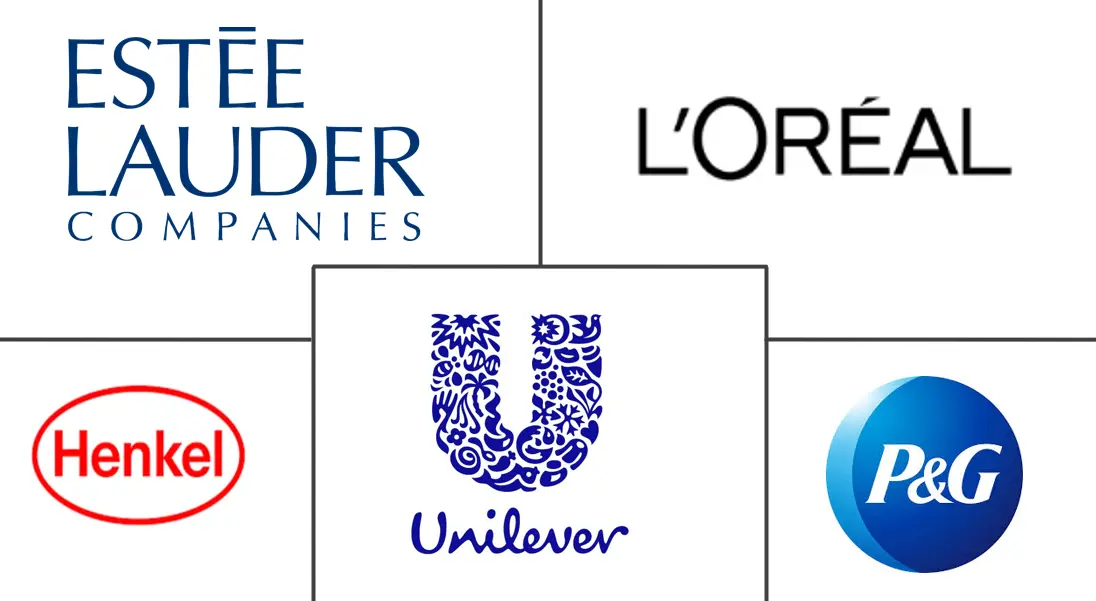 发胶市场规模和份额