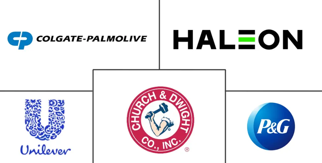 北美口腔护理市场规模和份额